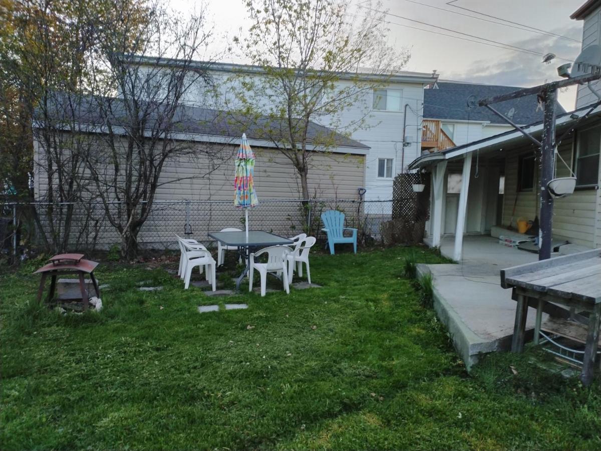 Cozy Downtown One Bedroom Free Parking كينفستون المظهر الخارجي الصورة