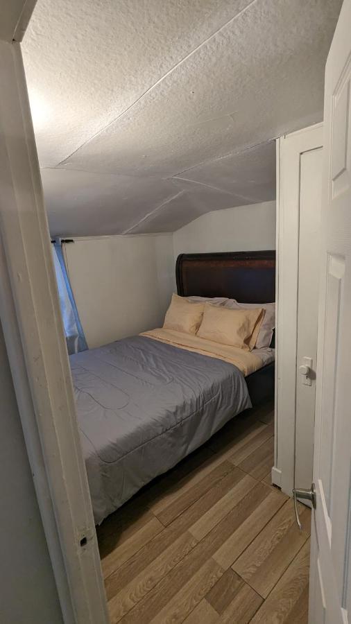Cozy Downtown One Bedroom Free Parking كينفستون المظهر الخارجي الصورة